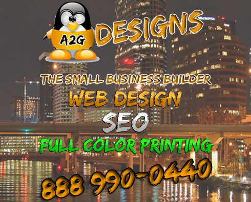 Web Design, Hosting & SEO